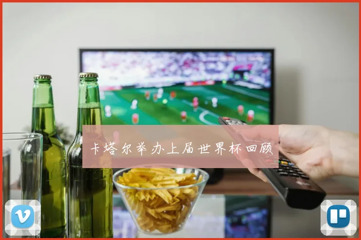 卡塔尔举办上届世界杯回顾